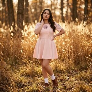Fun Costumes A League of Their Own Pink Baseball Dress Womens 2X LEA8301PL